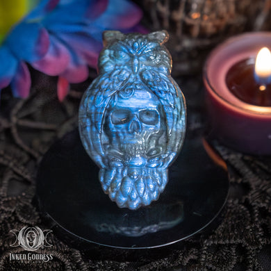 Labradorite Owl with Skull Disc for Psychic Wisdom