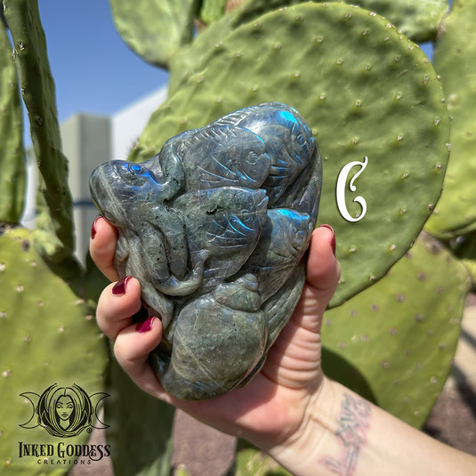 Labradorite Sea Life Scene for Deep Dive Psychic Rituals