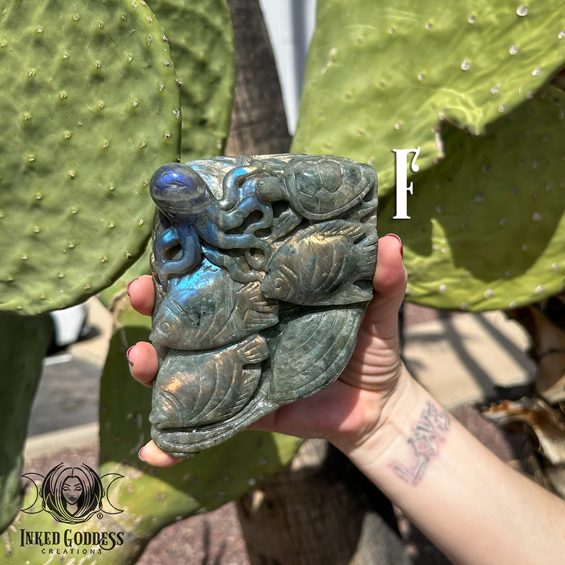 Load image into Gallery viewer, Labradorite Sea Life Scene for Deep Dive Psychic Rituals
