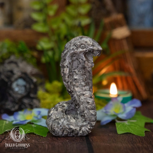 Larvikite Cobra for Breaking Cycles
