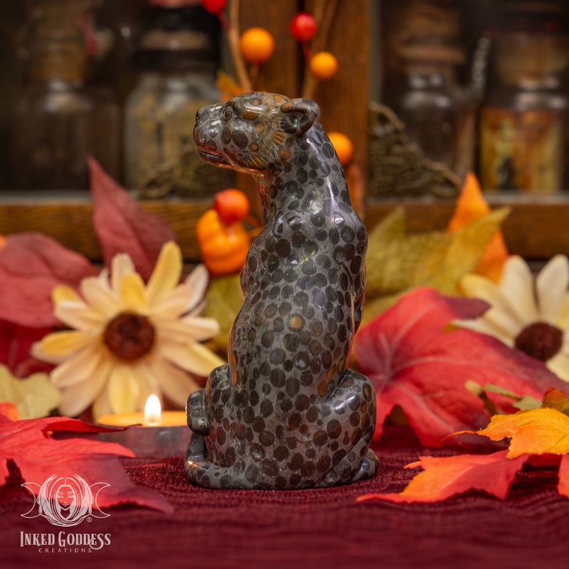 Load image into Gallery viewer, Leopard Skin Jasper Leopard for Stealth and Strength
