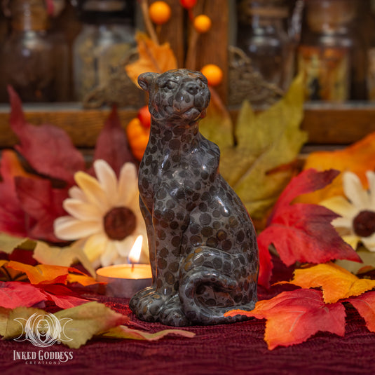 Leopard Skin Jasper Leopard for Stealth and Strength