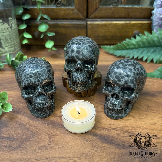Leopardskin Jasper Skull for Stealth and Strength