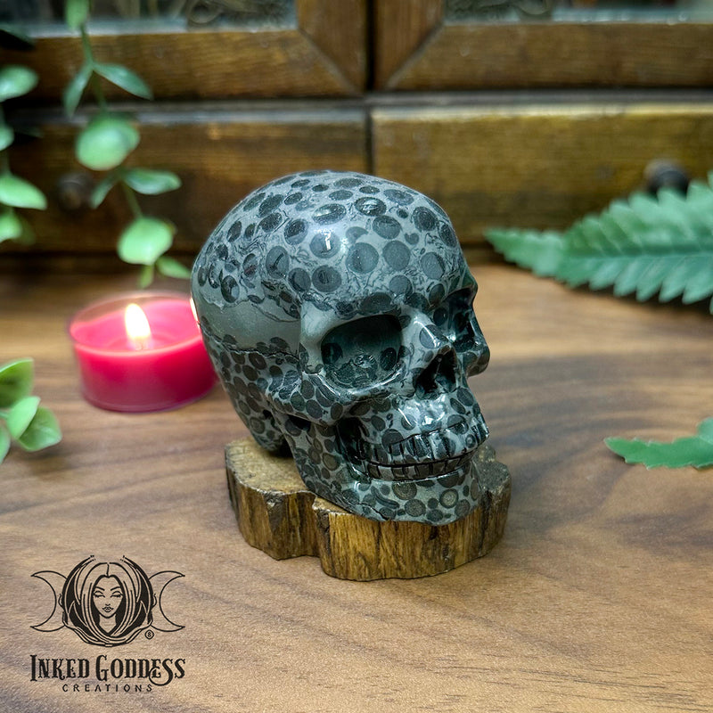 Load image into Gallery viewer, Leopardskin Jasper Skull for Stealth and Strength
