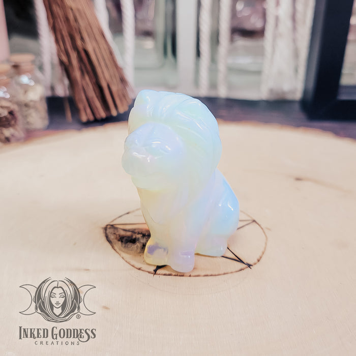 Lion's Gate Portal Ritual Kit for the 8/8 Manifestation Alignment