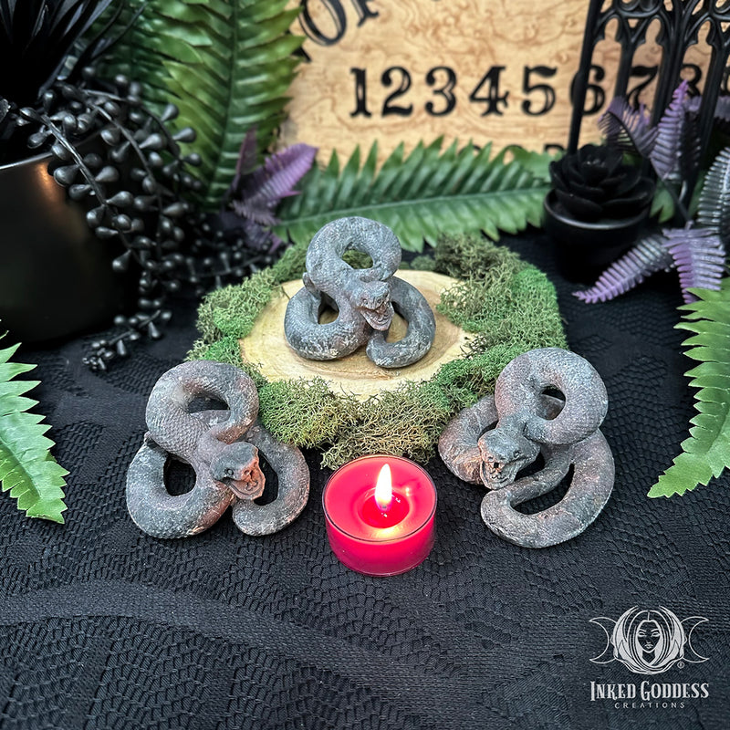 Load image into Gallery viewer, Matte Arfvedsonite with Garnet Coiled Snake for Protective Wards
