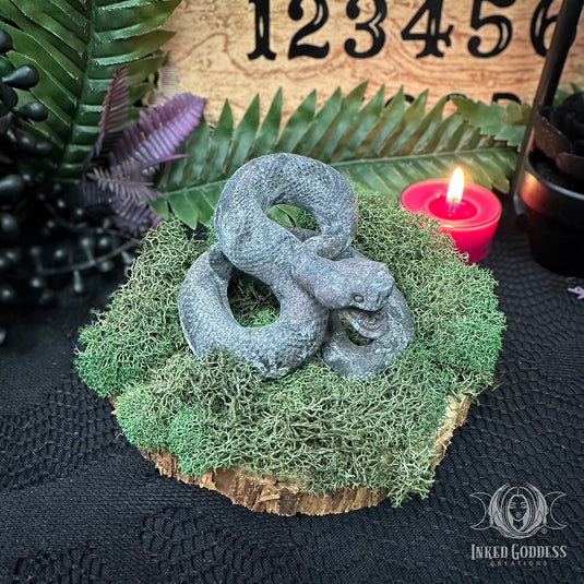 Matte Arfvedsonite with Garnet Coiled Snake for Protective Wards