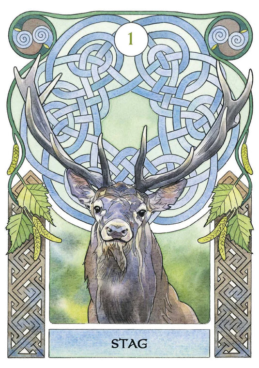 Celtic Astrology Oracle Deck for Ancient Wisdom