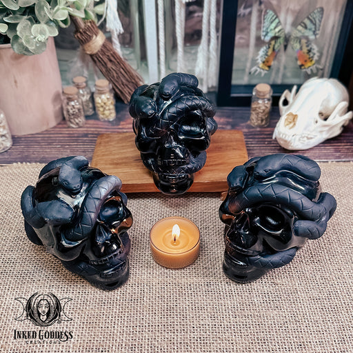 Obsidian Carved Skull with Snakes for Protection