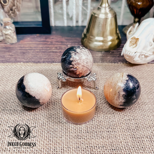 Petrified Palm Wood Sphere for Mind, Body, Spirit Balance