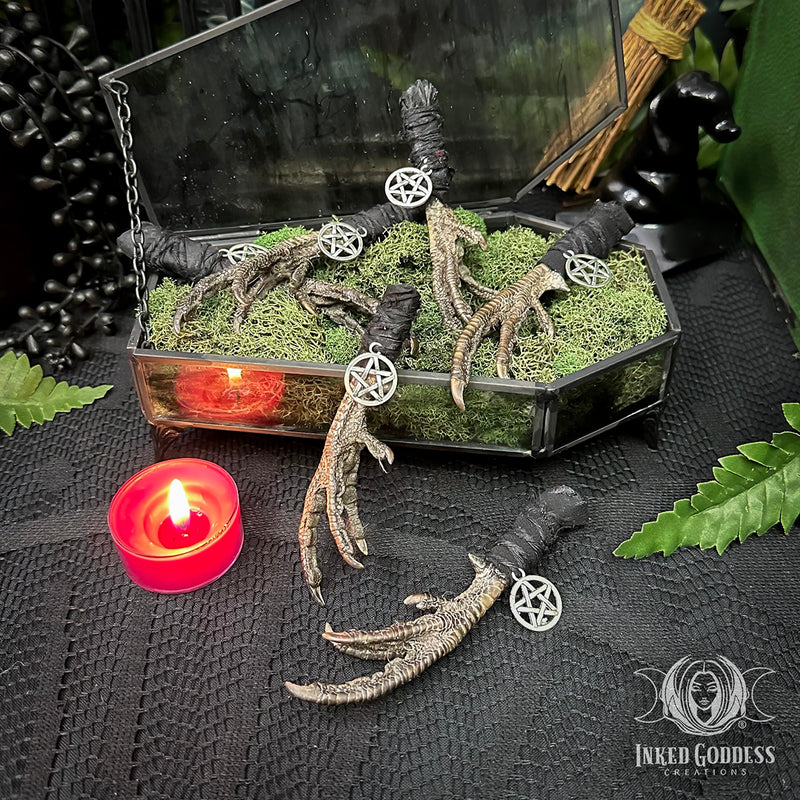 Load image into Gallery viewer, Pheasant Foot Protection Talisman for Grounded Energy
