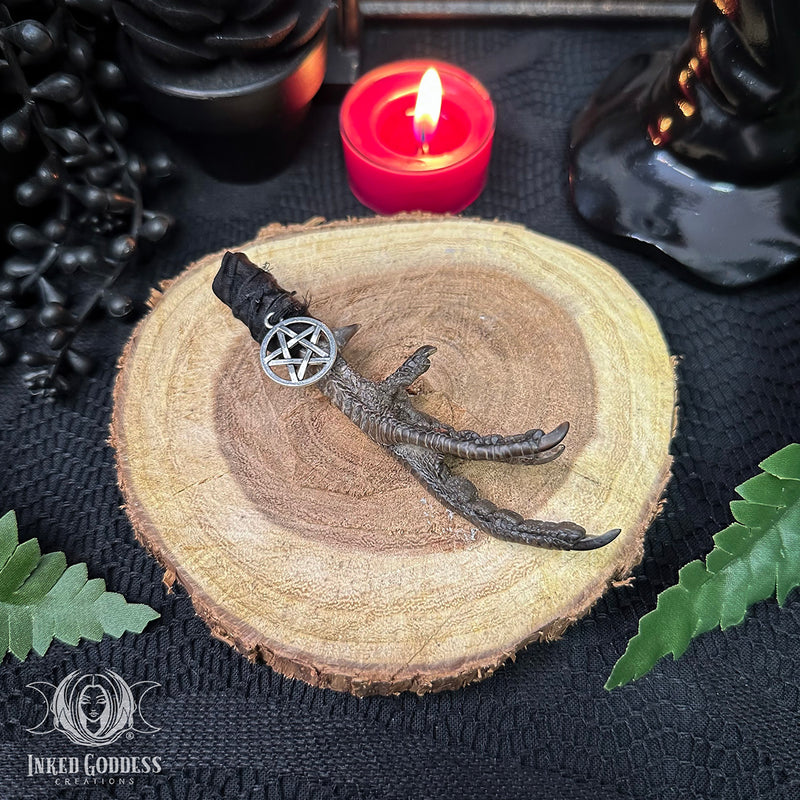 Load image into Gallery viewer, Pheasant Foot Protection Talisman for Grounded Energy
