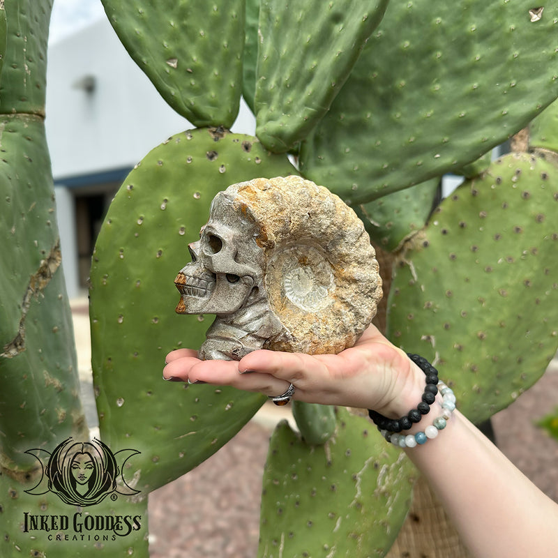 Load image into Gallery viewer, Raw Ammonite with Skull Carving for Soul Path Magick
