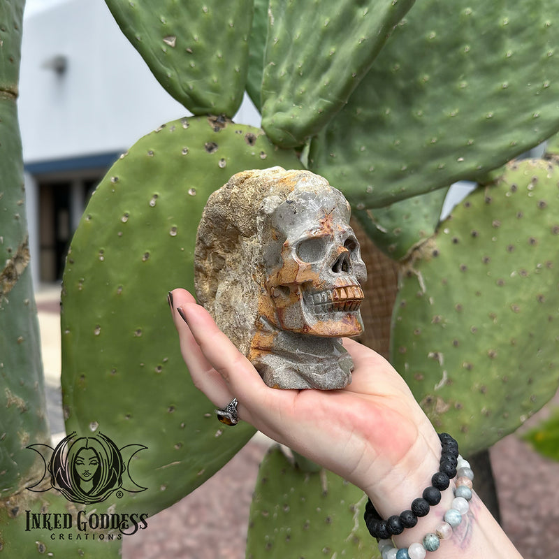 Load image into Gallery viewer, Raw Ammonite with Skull Carving for Soul Path Magick
