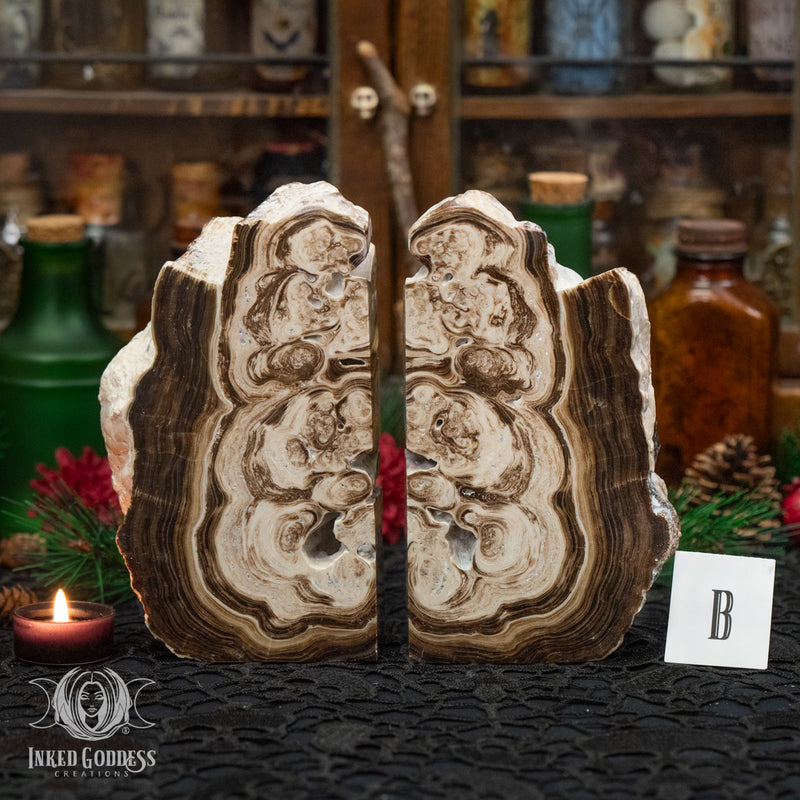 Load image into Gallery viewer, Rootbeer Calcite Bookend Pair for Increasing Motivation
