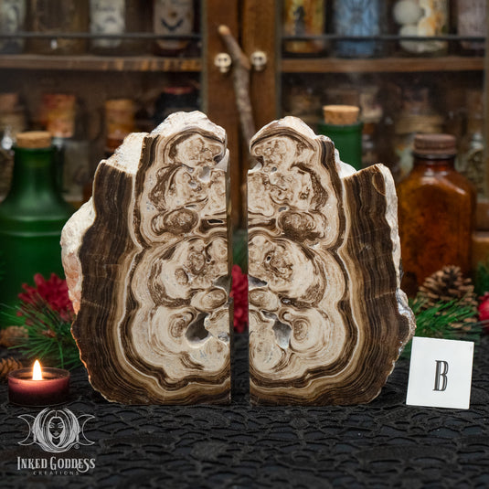 Rootbeer Calcite Bookend Pair for Increasing Motivation