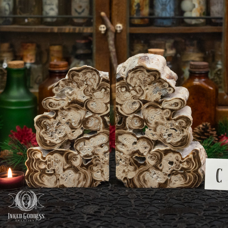 Load image into Gallery viewer, Rootbeer Calcite Bookend Pair for Increasing Motivation
