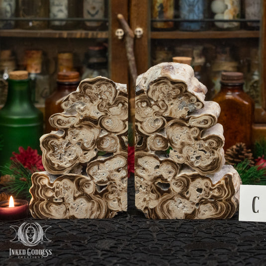 Rootbeer Calcite Bookend Pair for Increasing Motivation