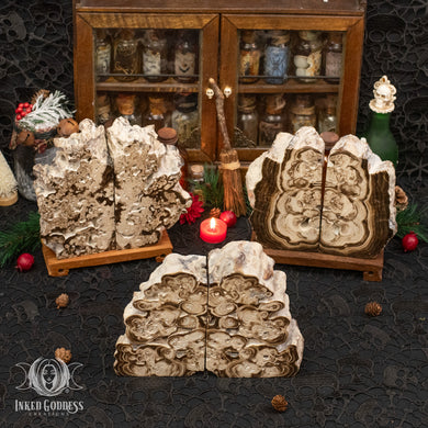 Rootbeer Calcite Bookend Pair for Increasing Motivation