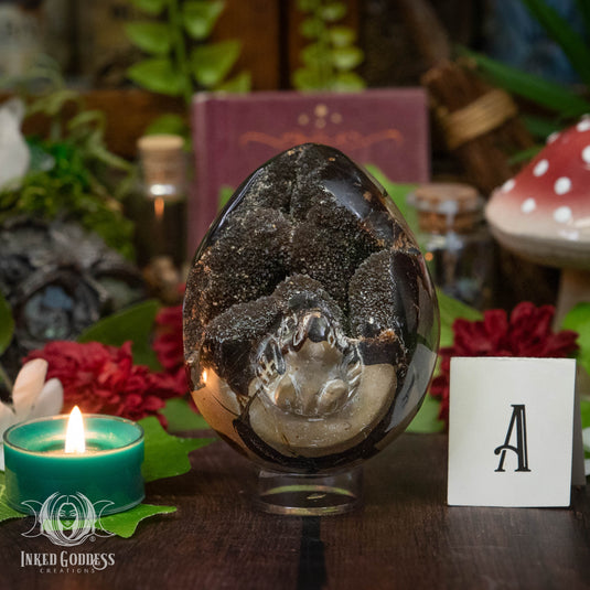 Septarian Frog Egg for Personal Transformation