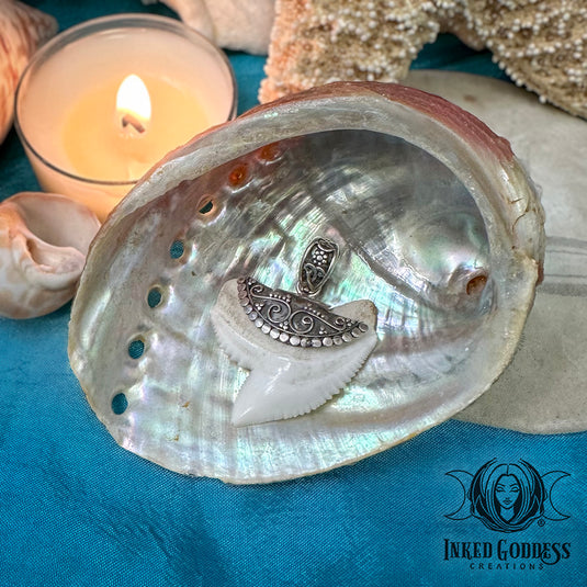 Shark Tooth Sterling Silver Tibetan Pendant for Primal Resilience & Strength