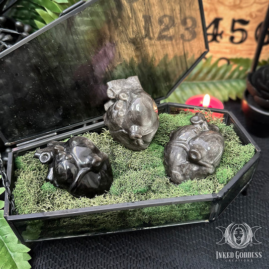 Sheen Obsidian Anatomical Heart- Large for Travel Between the Worlds