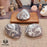 Shell Jasper Energy Stone for Calm & Stability