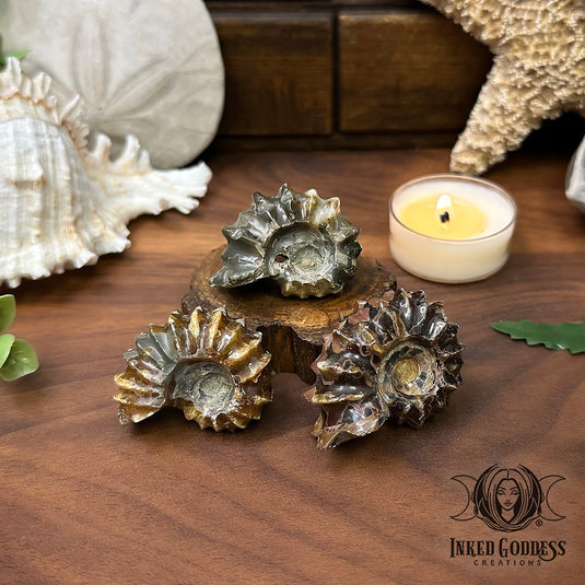 Spiny Ammonite for Protected Astral Projection