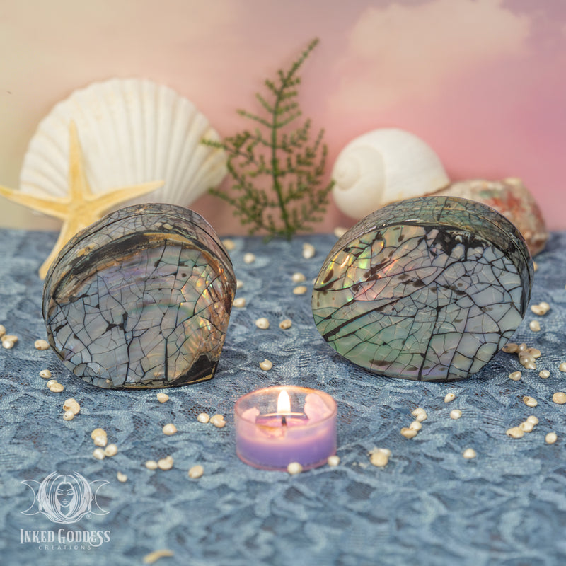 Load image into Gallery viewer, Tiffany Shell Altar Box for Aphrodite
