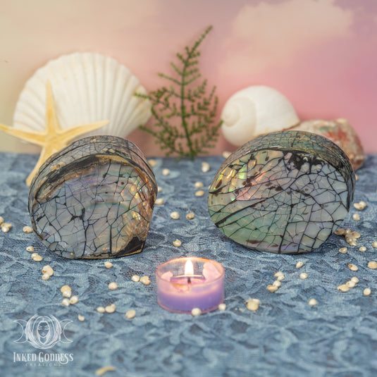 Tiffany Shell Altar Box for Aphrodite