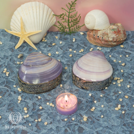 Tiffany Shell Altar Box for Aphrodite