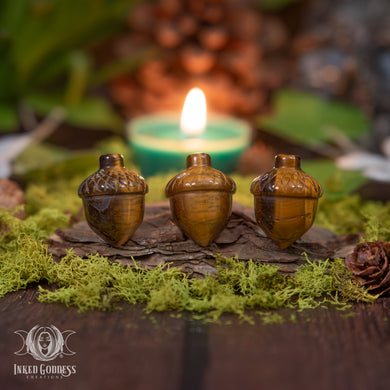Tiger's Eye Acorn for Good Luck