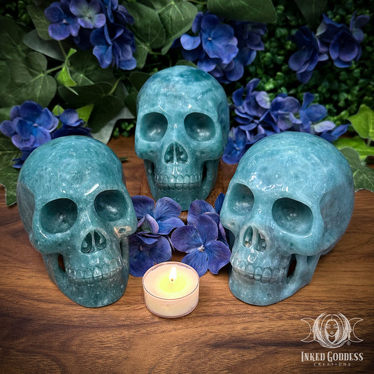Trolleite Skull for Embracing Your Soul's Purpose