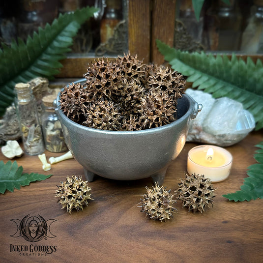 Witch's Burr for Hex Breaking
