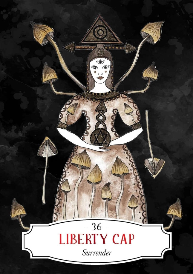 Load image into Gallery viewer, Deadly Apothecary Oracle Deck for Baneful Magick

