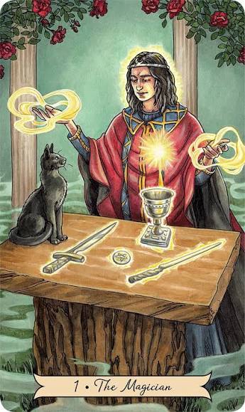 Everyday Witch Tarot Deck for Favorable Fortunes