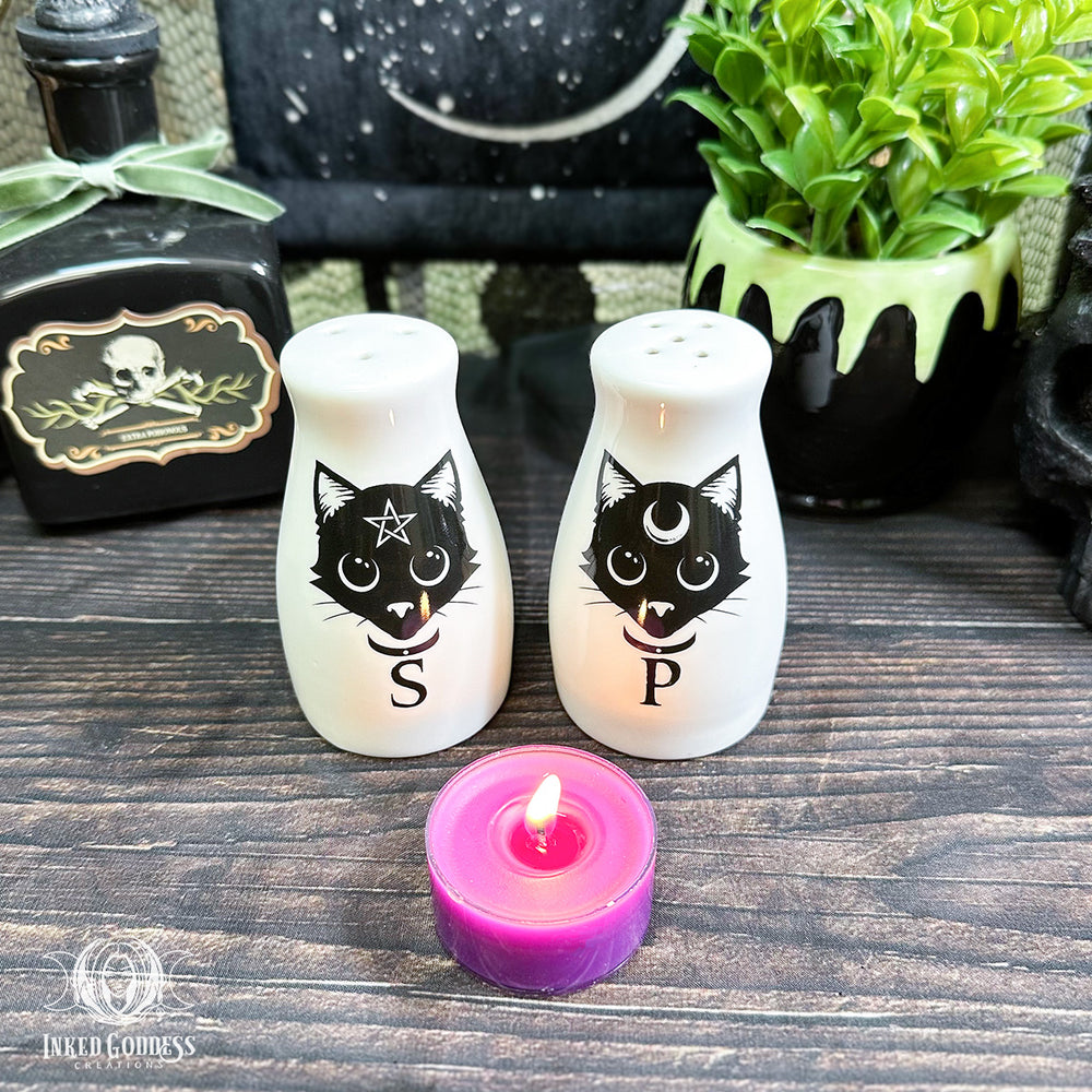 Black Cats Salt and Pepper Shaker Set- Inked Goddess Creations