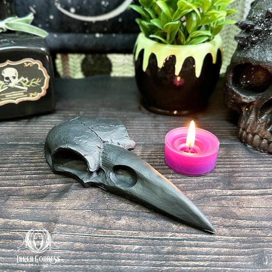 Black Raven Skull Hand Mirror for Glamour Magick- Inked Goddess Creations