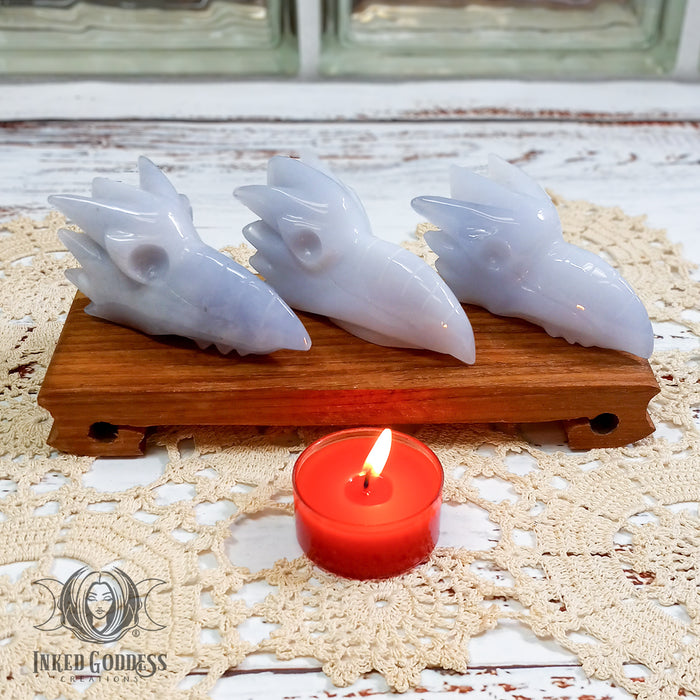 Blue Chalcedony Phoenix Skull Carving for Peace & Harmony- Inked Goddess Creations