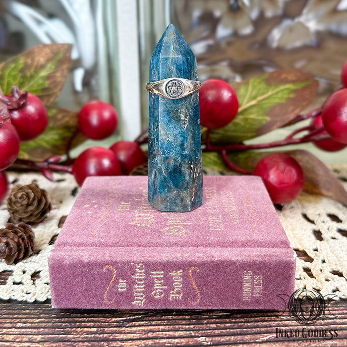 Pentacle Sterling Silver Ring for Protection- Inked Goddess Creations