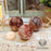 Red Hematoid Quartz Sphere for Balanced Energy- Inked Goddess Creations
