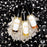 Zodiac Personal Power Oil for Astrological Magick- Inked Goddess Creations