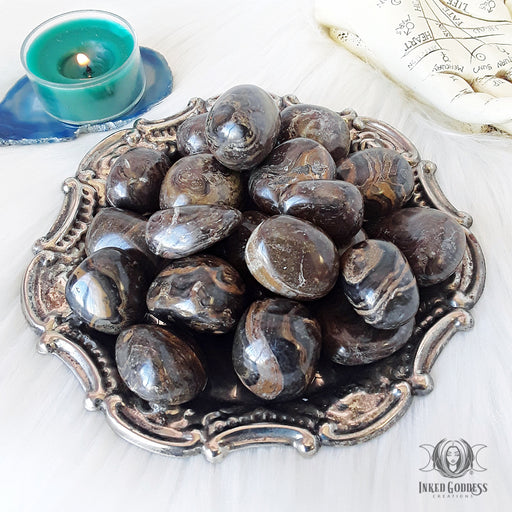 Stromatolite Tumbled Gemstone for Transformation- Inked Goddess Creations